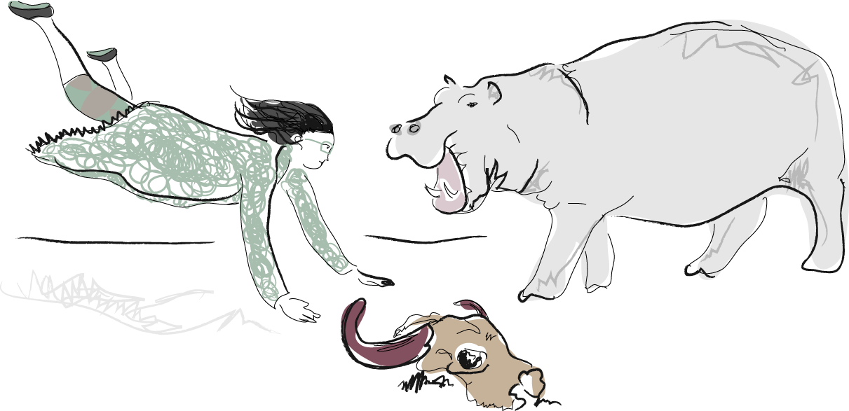 Lektion 3: Beinahe-Kollision mit Nilpferd